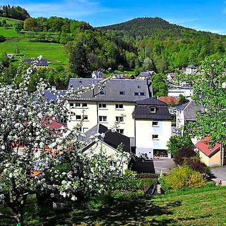 Logis - Restaurant Aux Bruyères Hotel 3*