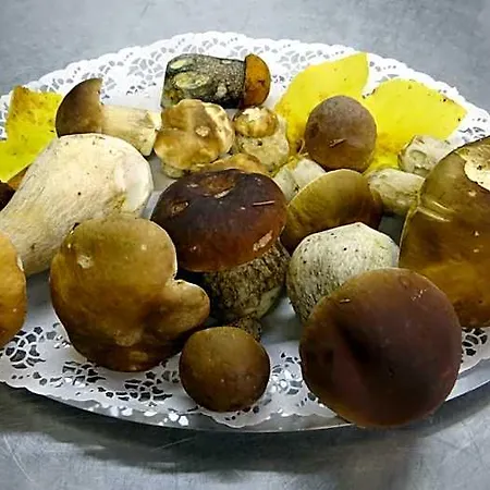 Logis - Restaurant Aux Bruyeres 3* Orbey