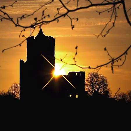 호텔 Logis - Restaurant Aux Bruyeres 3*