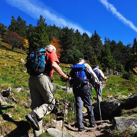 Logis - Restaurant Aux Bruyeres 호텔 3*