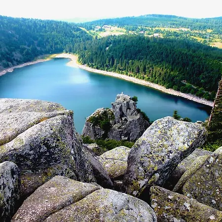 Logis - Restaurant Aux Bruyeres 오르베