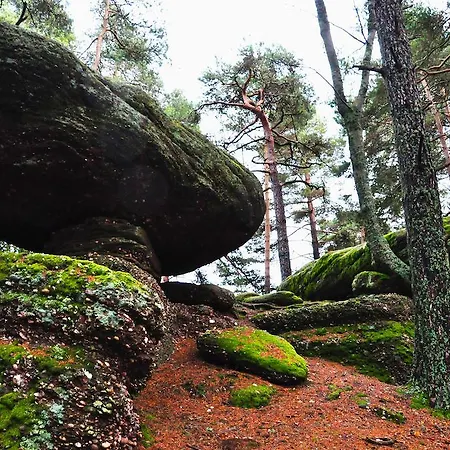 Logis - Restaurant Aux Bruyeres Hotell