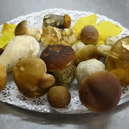 Szálloda Logis - Restaurant Aux Bruyeres 3*