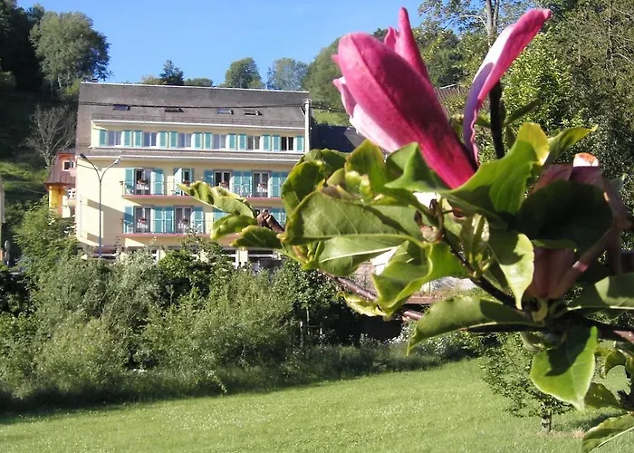 ホテル Logis - Restaurant Aux Bruyeres