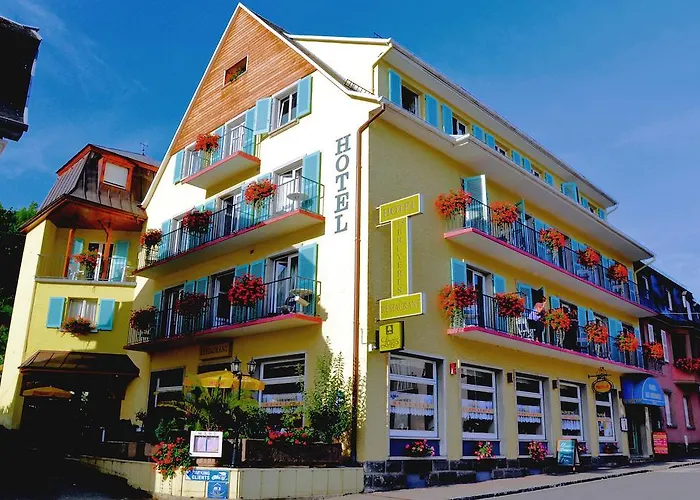 ホテル Logis - Restaurant Aux Bruyeres