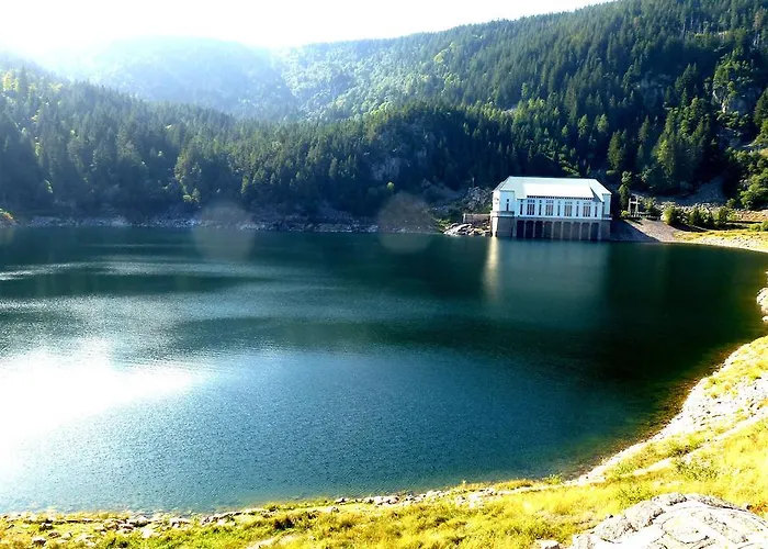 Logis - Restaurant Aux Bruyeres Orbey