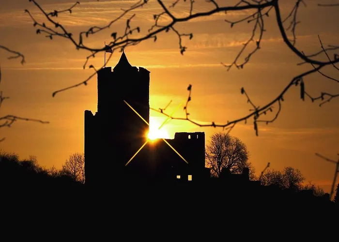 ホテル Logis - Restaurant Aux Bruyeres 3*