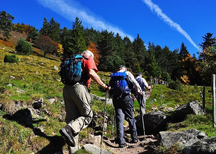 Logis - Restaurant Aux Bruyeres ホテル 3*