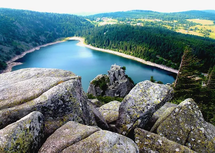 Logis - Restaurant Aux Bruyeres Orbey