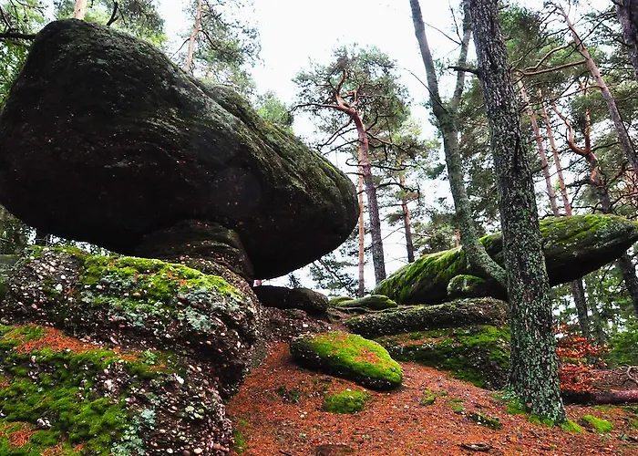Logis - Restaurant Aux Bruyeres Hotel