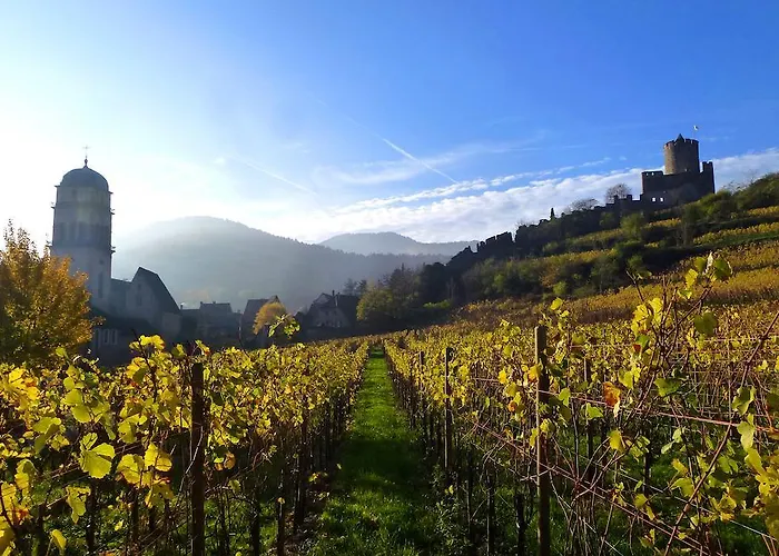 ホテル Logis - Restaurant Aux Bruyeres 3*