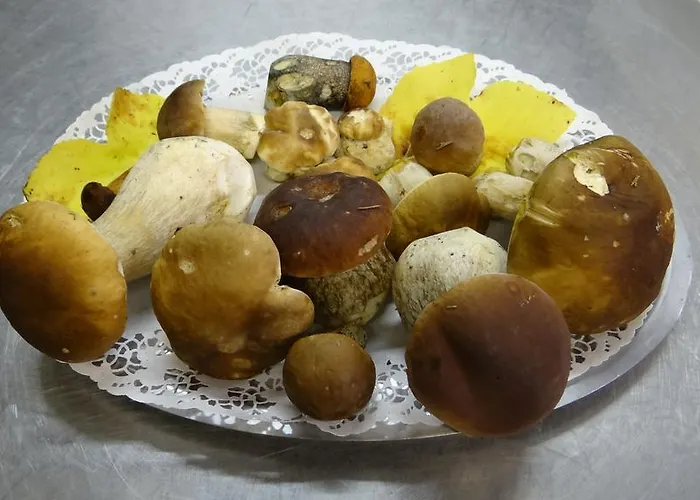 Hotel Logis - Restaurant Aux Bruyeres 3*