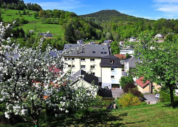 Logis - Restaurant Aux Bruyeres Orbey